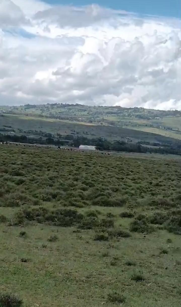 Near tarmac Road